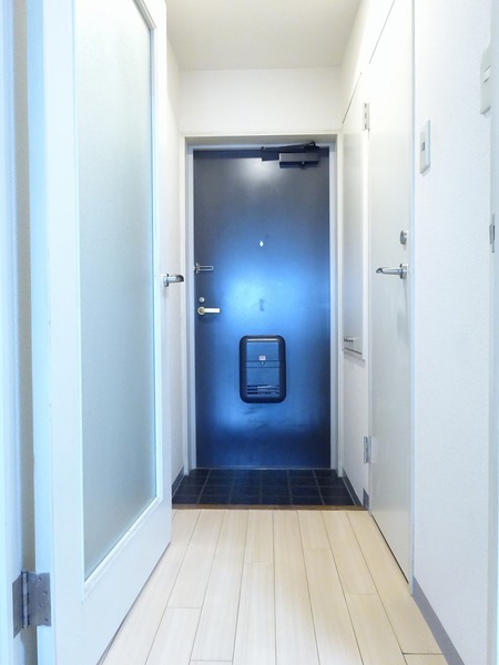 ワコーレ川崎Ⅱ901号室 その他