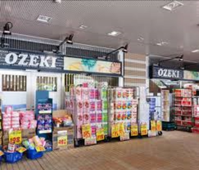 サンパレスＣＡ田中201号室 【デパート】スーパーオオゼキ市川店まで156ｍ