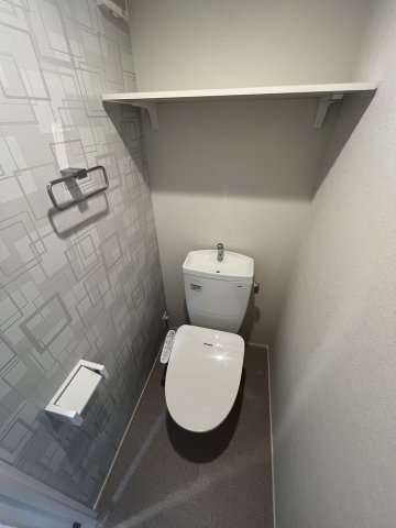 カーサソラーナ0206号室 トイレ