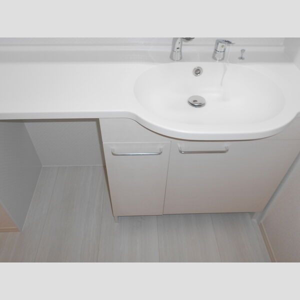 ブルームーン　A101号室 洗面