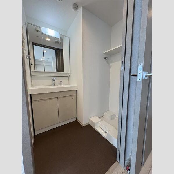 S-RESIDENCE新御徒町chiaro2B号室 洗面