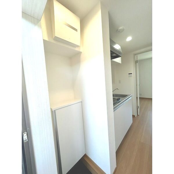 Ambition袋山303号室 玄関