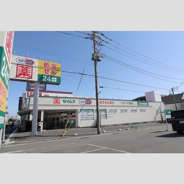 アインス水元 ドラックセイムス南水元店