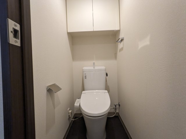 ケーディーエックスレジデンス豊洲427号室 トイレ