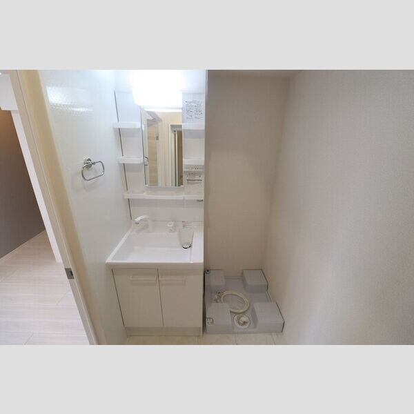 D Paina 宿河原七丁目 洗面台