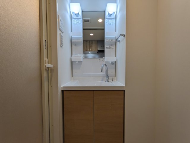 ハーモニーレジデンス蒲田アートヴィラ0104号室 洗面