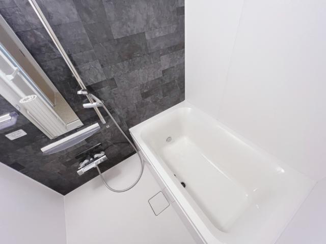 ＤｉｓＮｅｒｄ203号室 浴室