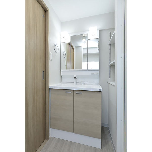 クリオ　ラモード学芸大学Ⅱ0302号室 洗面