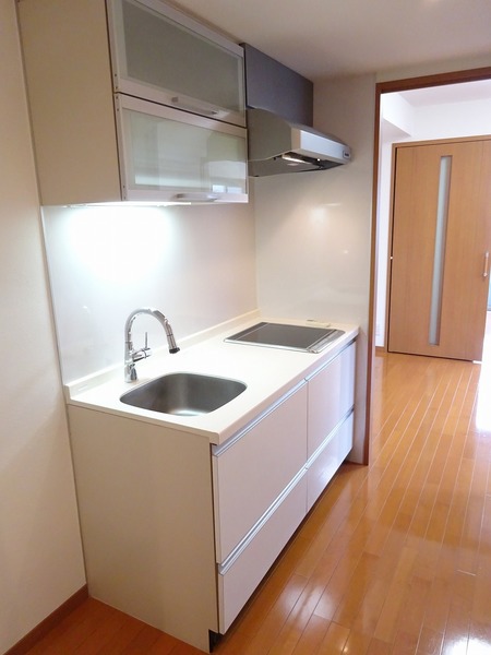 日神デュオステージ上板橋301号室 キッチン