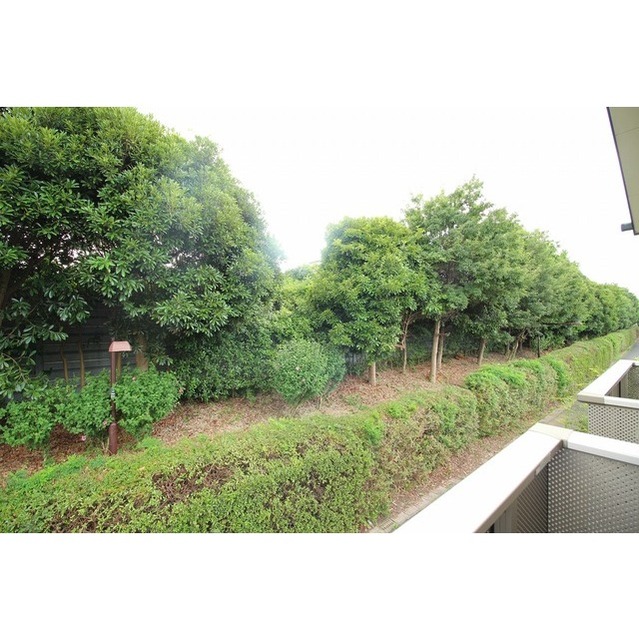 アムール エフ 弐番館202号室 部屋その他