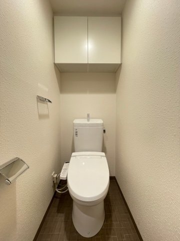 DIPS大山熊野町1202号室 トイレ