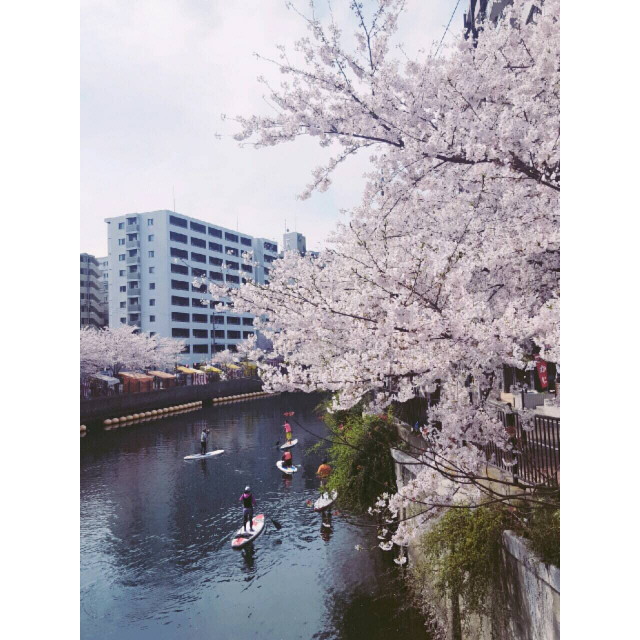 ﾌﾟﾚｰﾙ･ﾄﾞｩｰｸ横浜SOUTH Maison Loir 周辺
