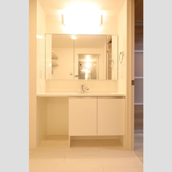 エクセリア上石原105号室 洗面
