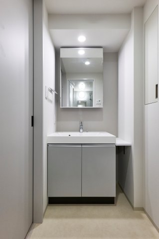 プラウドフラット墨田曳舟ディアージュ208号室 洗面