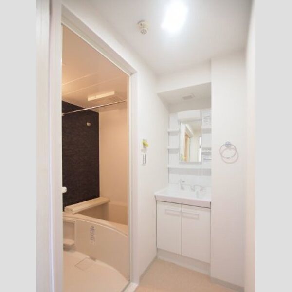 ベルメゾン北葛西108号室 独立洗面台