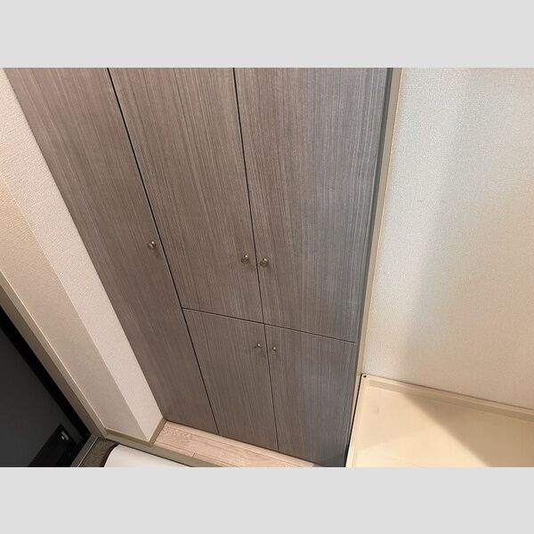 グリーンハイツ210号室 シューズボックス