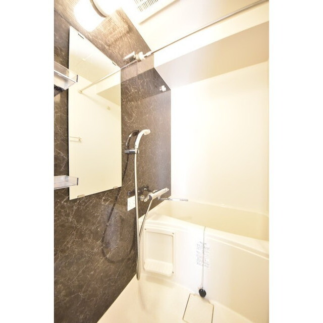 Court Blanche0408号室 内観