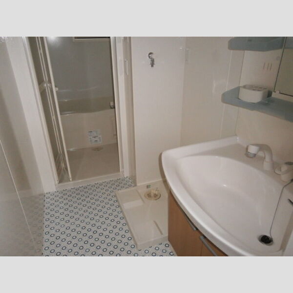 ディアコートS 洗面所