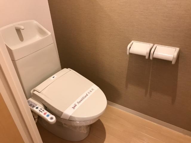 SUN GRACE Ⅰ102号室 シャワー付トイレ