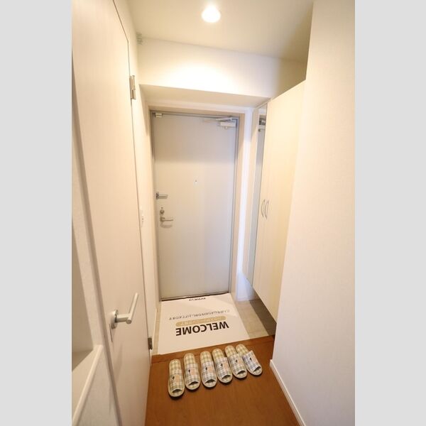 シルフィッド408号室 玄関