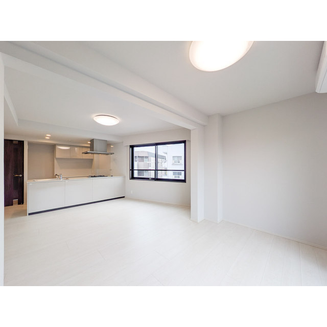 ACP Residence 新江古田0502号室 リビング