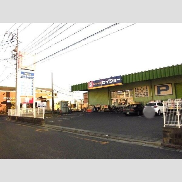 エクセルグランデ デイリーケアセイジョー浦和円正寺店(234m)