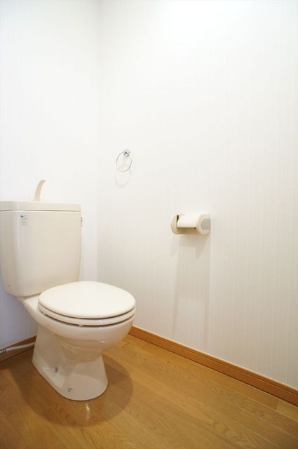 グランメール・ジョイ・リーリエ0301号室 トイレ