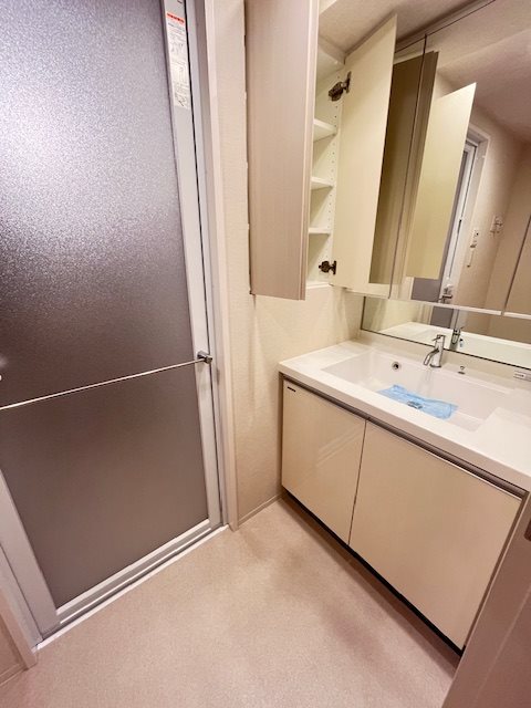 ＯＮＥ ＲＯＯＦ ＲＥＳＩＤＥＮＣＥ ＡＳＡＫＵＳＡＢＡＳＨＩ5階 洗面