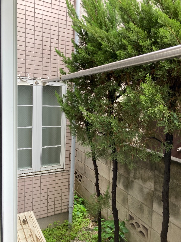 サットンプレイススズキ1階 部屋その他