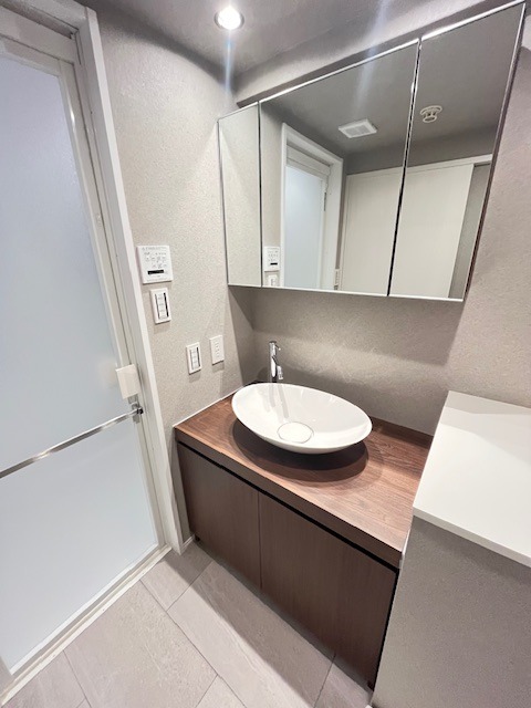 レジディア芝浦13階 洗面