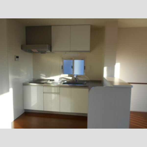 グリーンフォレスト　Ⅱ201号室 システムキッチン