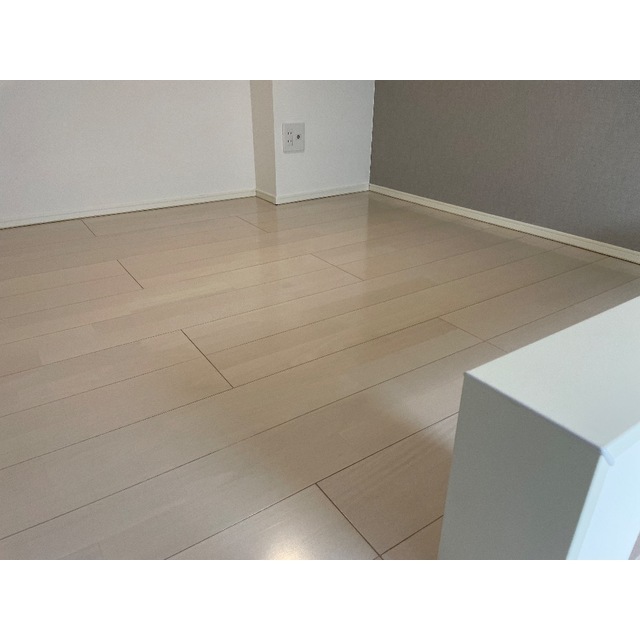 ハーモニーテラス向島205号室 内観