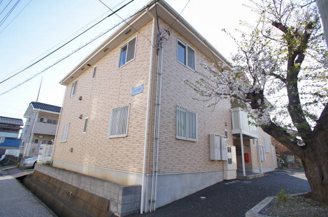 文京壱番館 敷地内に桜があり春はきれいですよ♪