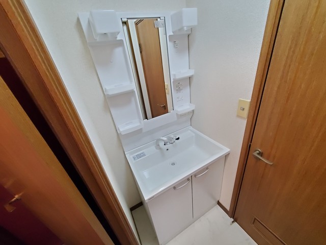 パルデンス西荻窪0203号室 洗面