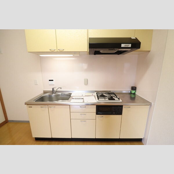 NTマンション203号室 キッチン