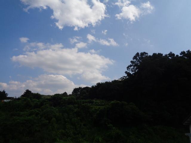 六幸館0203号室 展望