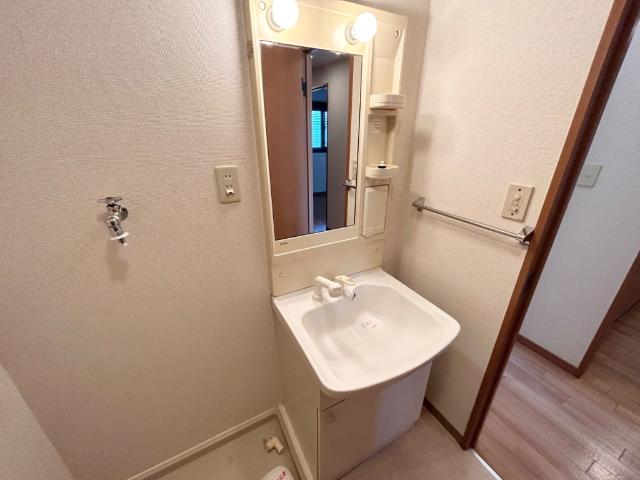 グリーンヒルズ105号室 洗面