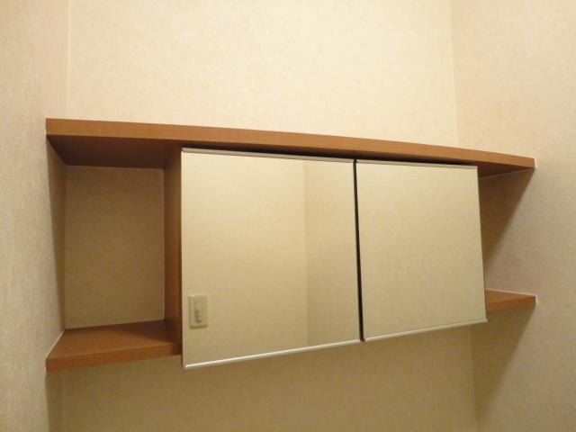 Ｇｒａｎｄｅ　Ｖｉｌｌａ（グランデ　ヴィラ）103号室 トイレ収納