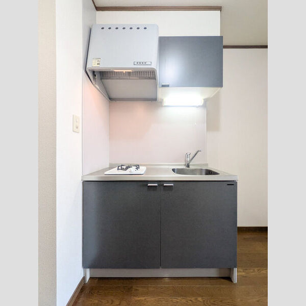 パセオ浦和304号室 システムキッチン