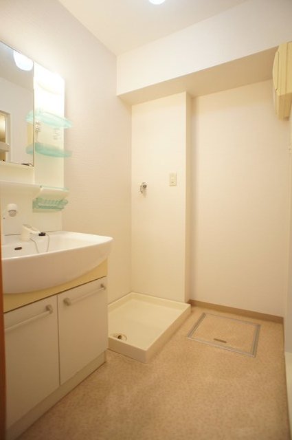 オーキッドヒル0303号室 洗面