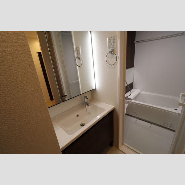 D-room弁天3丁目　C 洗髪洗面化粧台