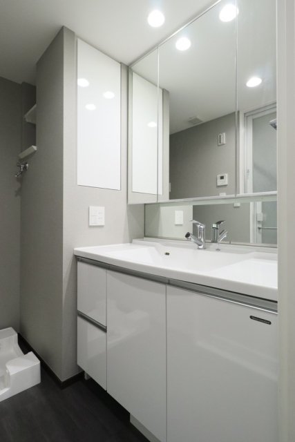 シティタワーズ東京ベイ　CENTRAL TOWER15階 洗面