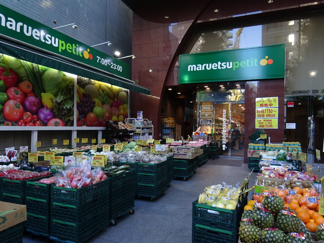 ザ・パークハビオ本郷菊坂1103号室 同建物別部屋の参考画像