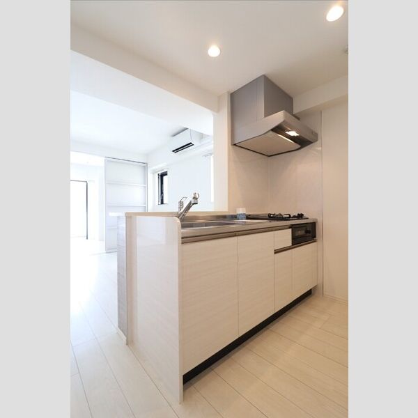 サニーコート トキワ201号室 ★システムキッチン★