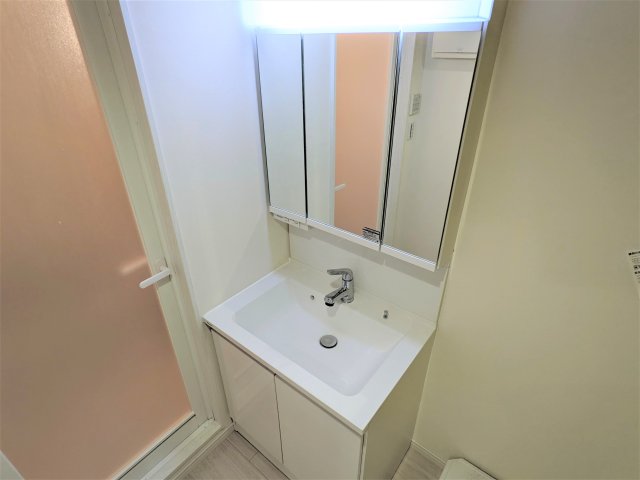 アリカ曳舟201号室 洗面