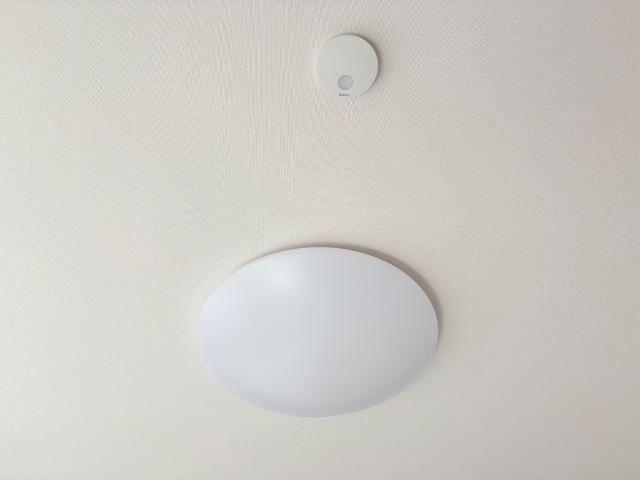 Ivy Field Ⅰ (アイヴィー フィールド ワン)202号室 照明器具