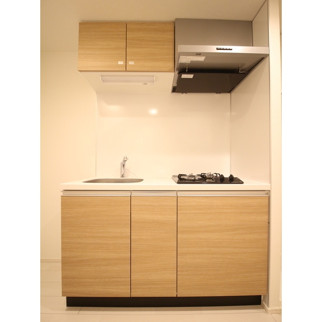 プレール・ドゥーク赤塚201号室 システムキッチン