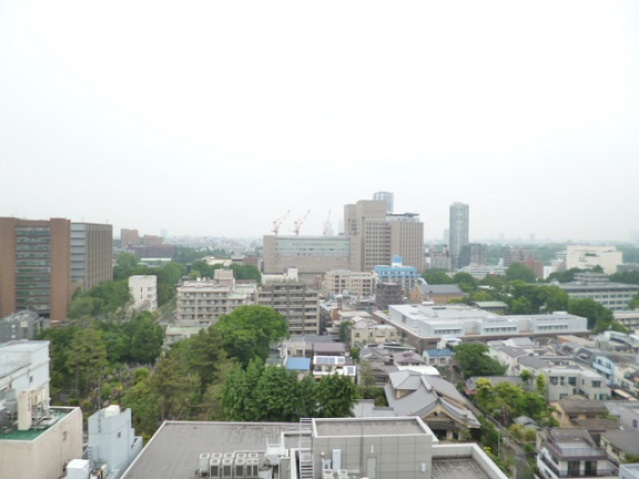 スカイコート本郷東大前壱番館1501号室 部屋その他