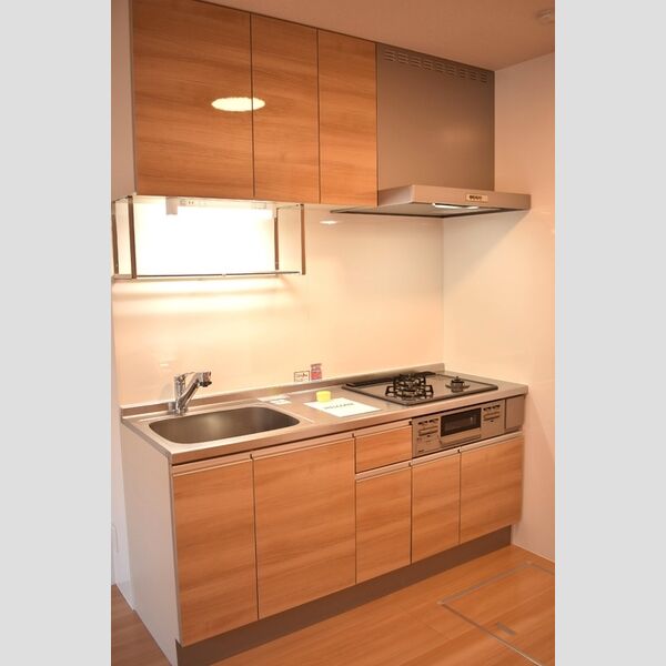 グランデ　Ⅰ103号室 システムキッチン