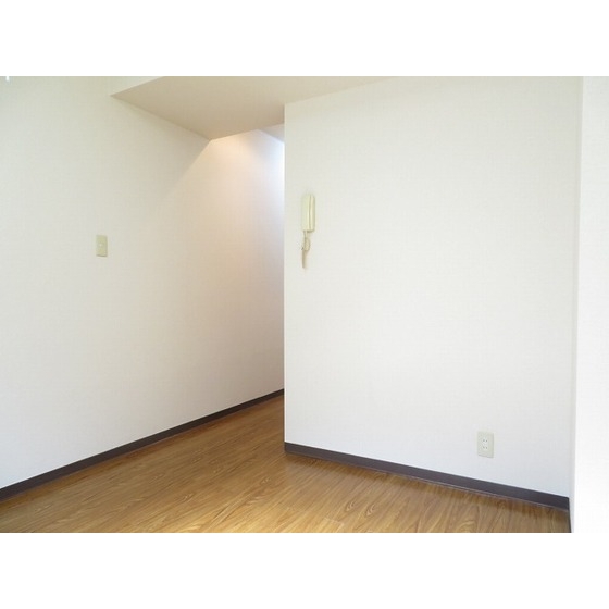 ダイヤモンドレジデンス中央0205号室 内観